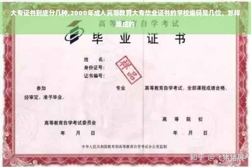 大专证书到底分几种,2000年成人高等教育大专毕业证书的学校编码是几位，怎样组成的