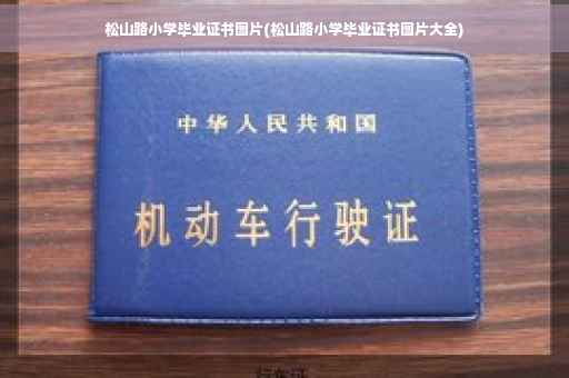 松山路小学毕业证书图片(松山路小学毕业证书图片大全)