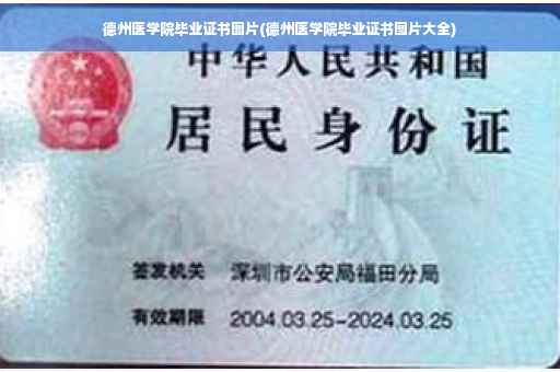 德州医学院毕业证书图片(德州医学院毕业证书图片大全)