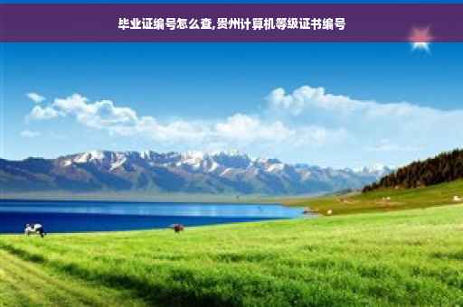 毕业证编号怎么查,贵州计算机等级证书编号