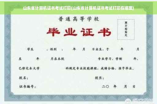 山东省计算机证书考试打印(山东省计算机证书考试打印在哪里)