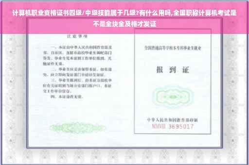 计算机职业资格证书四级/中级技能属于几级?有什么用吗,全国职称计算机考试是不是全块全及格才发证