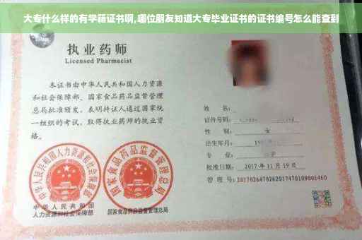 大专什么样的有学籍证书啊,哪位朋友知道大专毕业证书的证书编号怎么能查到