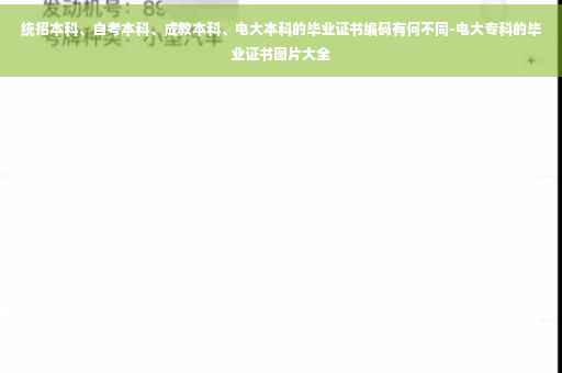 统招本科、自考本科、成教本科、电大本科的毕业证书编码有何不同-电大专科的毕业证书图片大全