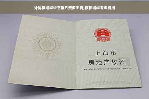 计算机编程证书报名费多少钱,核桃编程考级费用