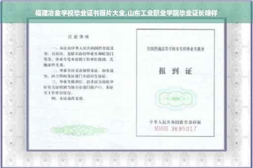 福建冶金学校毕业证书图片大全,山东工业职业学院毕业证长啥样
