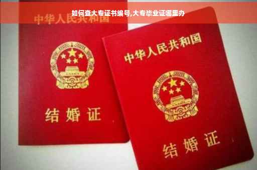 如何查大专证书编号,大专毕业证哪里办