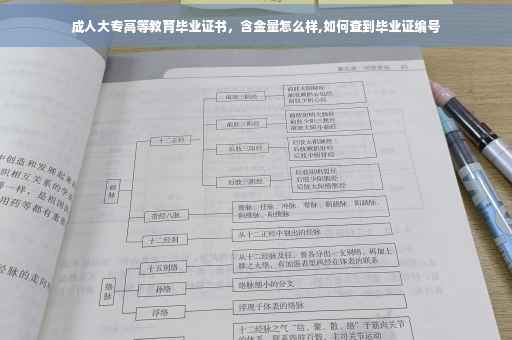 成人大专高等教育毕业证书，含金量怎么样,如何查到毕业证编号