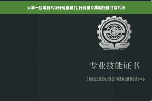 大学一般考到几级计算机证书,计算机文字编辑证书是几级