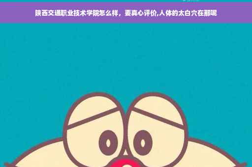 陕西交通职业技术学院怎么样，要真心评价,人体的太白穴在那呢