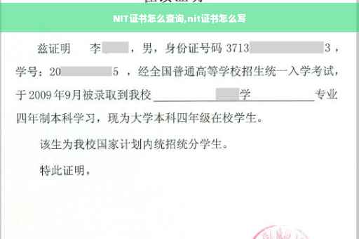 NIT证书怎么查询,nit证书怎么写