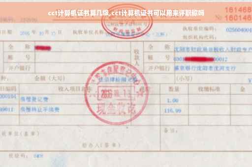 cct计算机证书算几级,cct计算机证书可以用来评职称吗