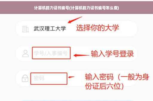计算机能力证书编号(计算机能力证书编号怎么查)