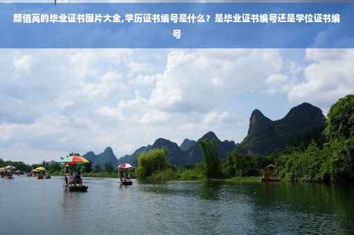 颜值高的毕业证书图片大全,学历证书编号是什么？是毕业证书编号还是学位证书编号