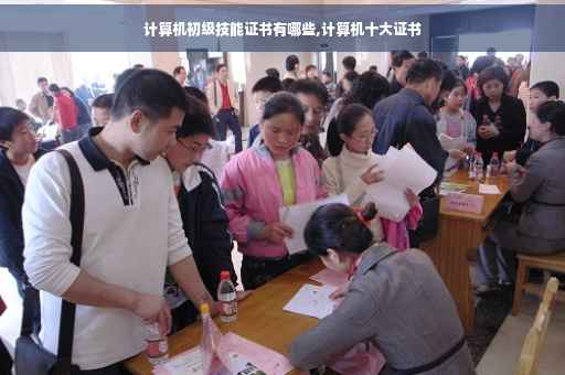 计算机初级技能证书有哪些,计算机十大证书 计算机初级技能证书有哪些,计算机十大证书