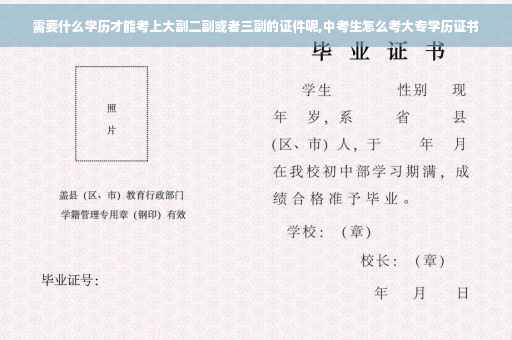 需要什么学历才能考上大副二副或者三副的证件呢,中考生怎么考大专学历证书