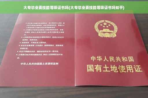 大专毕业要技能等级证书吗(大专毕业要技能等级证书吗知乎)