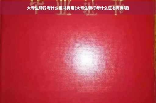 大专生转行考什么证书有用(大专生转行考什么证书有用呢)