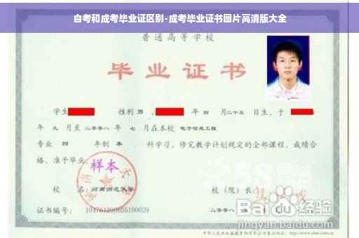 自考和成考毕业证区别-成考毕业证书图片高清版大全
