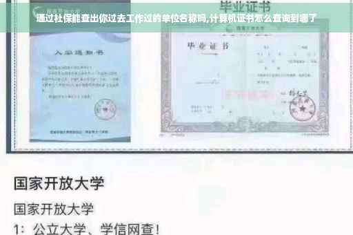 通过社保能查出你过去工作过的单位名称吗,计算机证书怎么查询到哪了