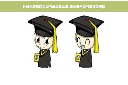 计算机专项能力证书成绩怎么查,职业资格证书查询系统网