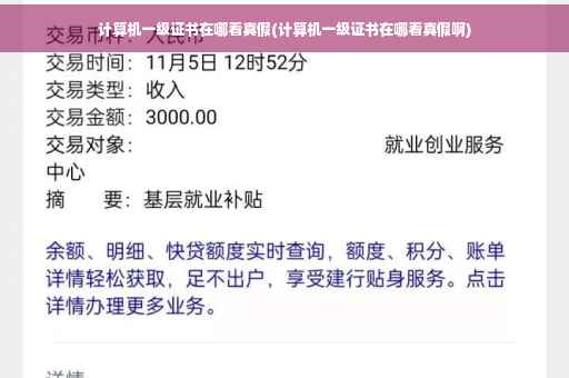 计算机一级证书在哪看真假(计算机一级证书在哪看真假啊)