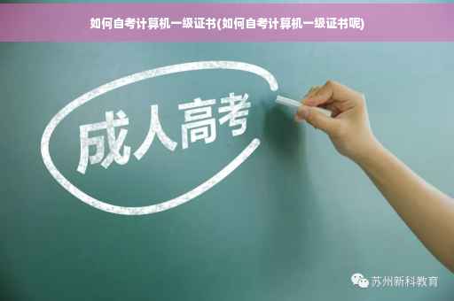如何自考计算机一级证书(如何自考计算机一级证书呢)