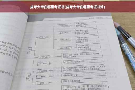 成考大专在哪里考证书(成考大专在哪里考证书好)
