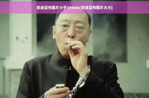 毕业证书图片小于190kb(毕业证书照片大小)
