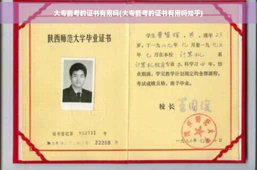 大专能考的证书有用吗(大专能考的证书有用吗知乎)