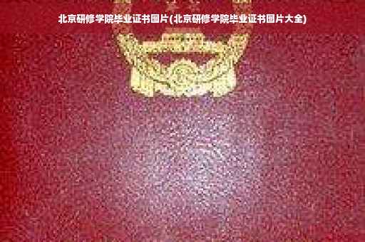 北京研修学院毕业证书图片(北京研修学院毕业证书图片大全)