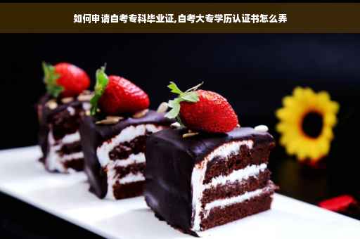 如何申请自考专科毕业证,自考大专学历认证书怎么弄