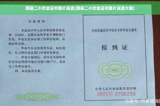 泗县二小毕业证书图片高清(泗县二小毕业证书图片高清大图)