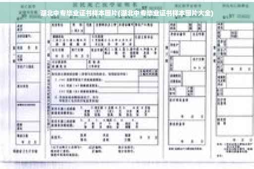 湖北中专毕业证书样本图片(湖北中专毕业证书样本图片大全)