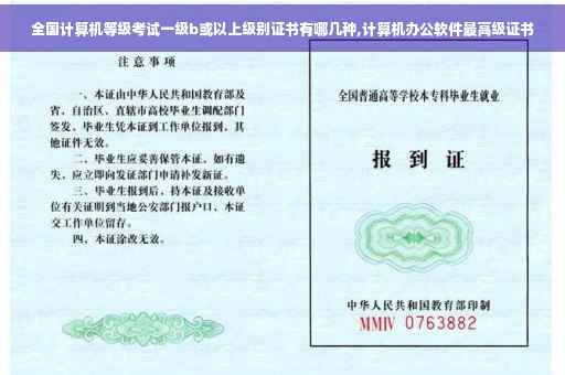 全国计算机等级考试一级b或以上级别证书有哪几种,计算机办公软件最高级证书