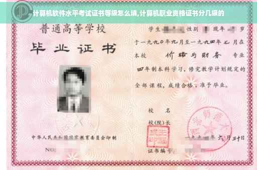 计算机软件水平考试证书等级怎么填,计算机职业资格证书分几级的