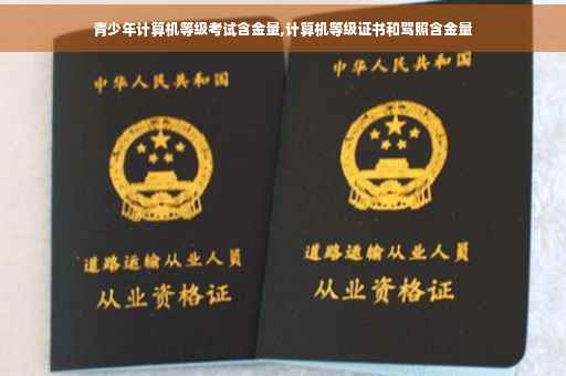 青少年计算机等级考试含金量,计算机等级证书和驾照含金量