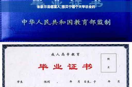 米歇尔是哪里人,撒贝宁哪个大学毕业的