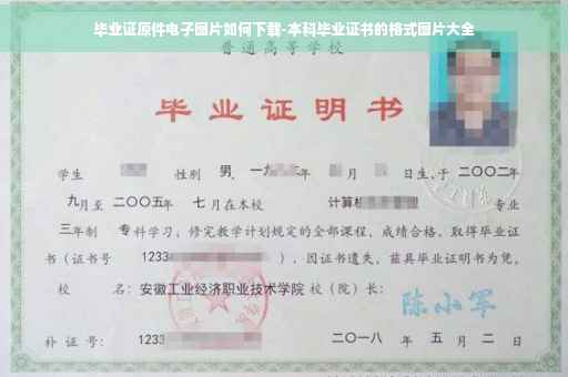 毕业证原件电子图片如何下载-本科毕业证书的格式图片大全