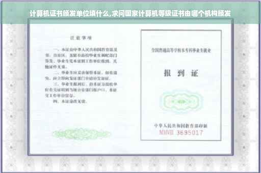 计算机证书颁发单位填什么,求问国家计算机等级证书由哪个机构颁发