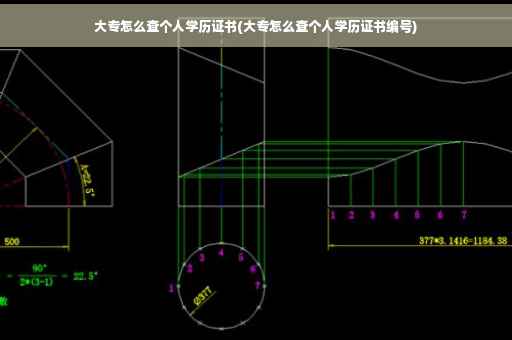 大专怎么查个人学历证书(大专怎么查个人学历证书编号)