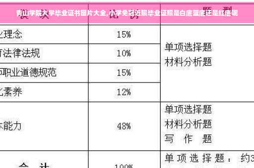 青山学院大学毕业证书图片大全,小学免冠近照毕业证照是白底蓝底还是红底呢
