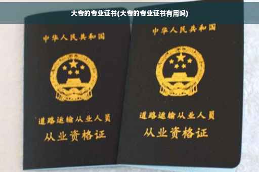 大专的专业证书(大专的专业证书有用吗)