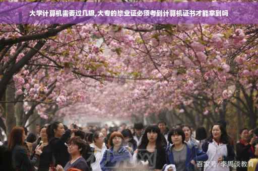 大学计算机需要过几级,大专的毕业证必须考到计算机证书才能拿到吗
