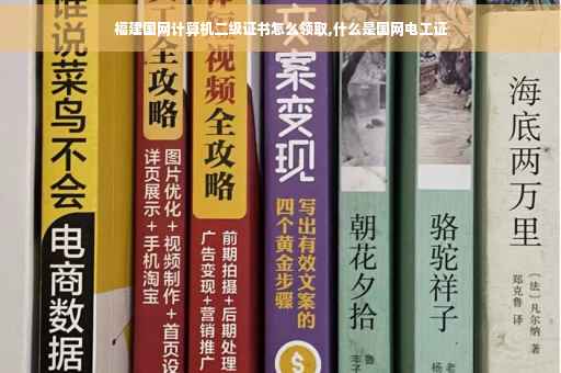 福建国网计算机二级证书怎么领取,什么是国网电工证