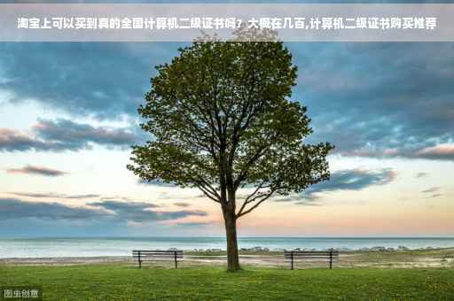 淘宝上可以买到真的全国计算机二级证书吗?大概在几百,计算机二级证书购买推荐 淘宝上可以买到真的全国计算机二级证书吗?大概在几百,计算机二级证书购买推荐