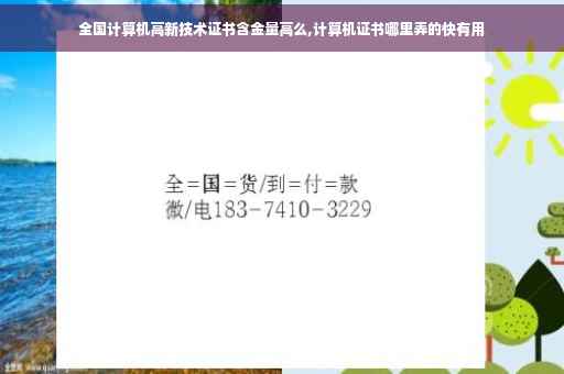 全国计算机高新技术证书含金量高么,计算机证书哪里弄的快有用