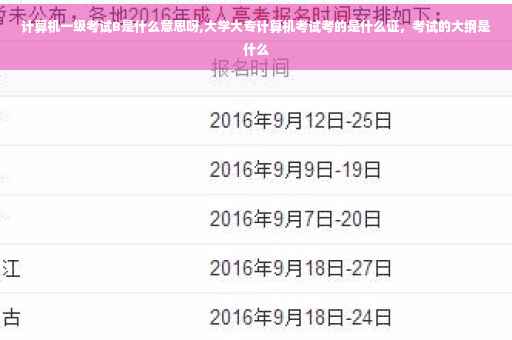 计算机一级考试B是什么意思呀,大学大专计算机考试考的是什么证，考试的大纲是什么