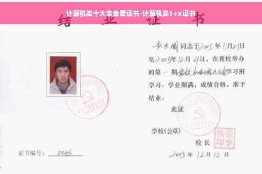 计算机类十大含金量证书-计算机类1+x证书 计算机类十大含金量证书-计算机类1+x证书