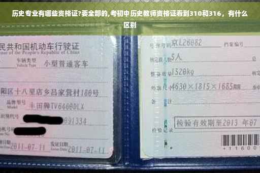 历史专业有哪些资格证?要全部的,考初中历史教师资格证看到310和316，有什么区别